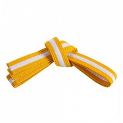 Karate Belt